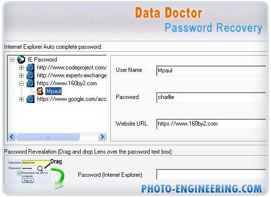 Screenshot of Instant Messenger Password Recovery