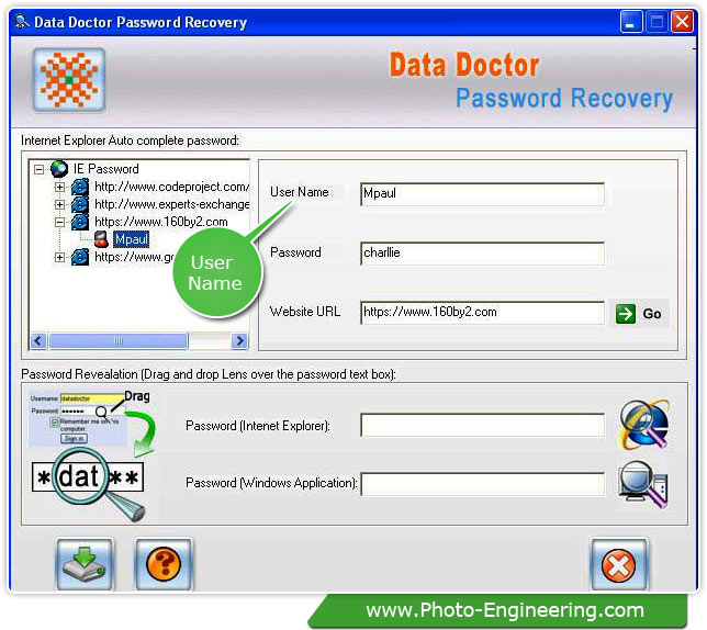 Internet Explorer Password Recovery