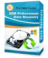 DDR Professional - Data Recovery